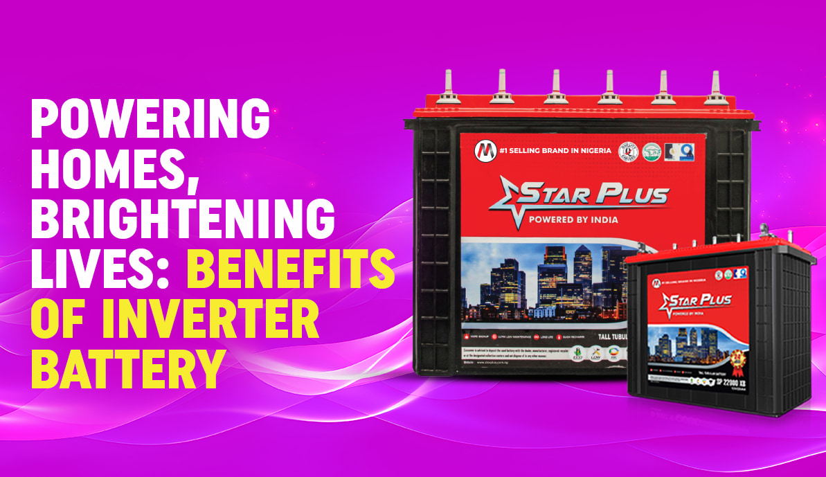 Inverter Battery